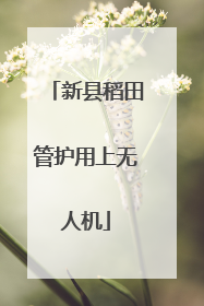 新县稻田管护用上无人机