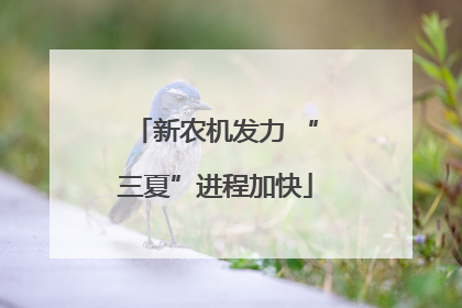 新农机发力 “三夏”进程加快