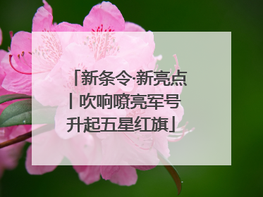 新条令·新亮点丨吹响嘹亮军号 升起五星红旗