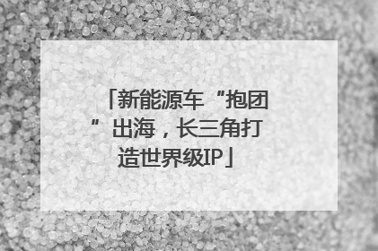 新能源车“抱团”出海，长三角打造世界级IP
