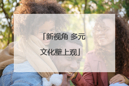 新视角 多元文化壁上观