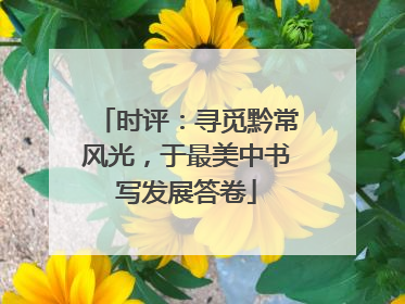 时评：寻觅黔常风光，于最美中书写发展答卷