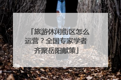 旅游休闲街区怎么运营？全国专家学者齐聚岳阳献策