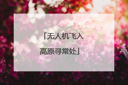 无人机飞入高原寻常处
