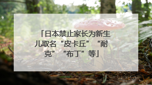 日本禁止家长为新生儿取名“皮卡丘”“耐克”“布丁”等