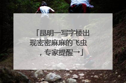 昆明一写字楼出现密密麻麻的飞虫，专家提醒→