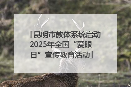 昆明市教体系统启动2025年全国“爱眼日”宣传教育活动