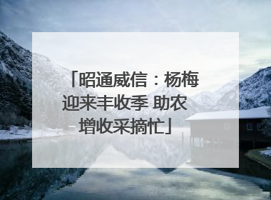 昭通威信：杨梅迎来丰收季 助农增收采摘忙