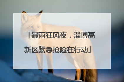 暴雨狂风夜，淄博高新区紧急抢险在行动