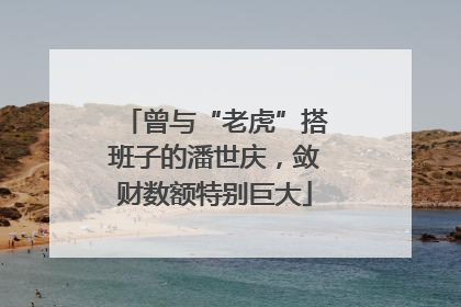 曾与“老虎”搭班子的潘世庆，敛财数额特别巨大