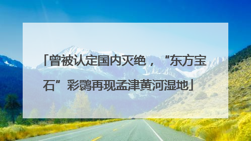 曾被认定国内灭绝，“东方宝石”彩鹮再现孟津黄河湿地