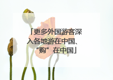 更多外国游客深入各地游在中国、“购”在中国