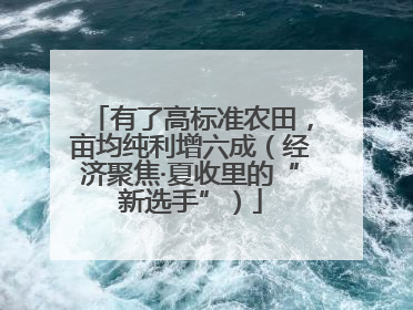 有了高标准农田，亩均纯利增六成（经济聚焦·夏收里的“新选手”）