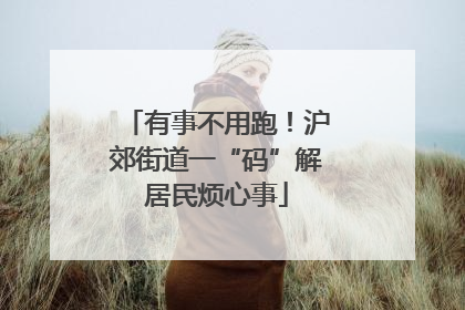 有事不用跑！沪郊街道一“码”解居民烦心事