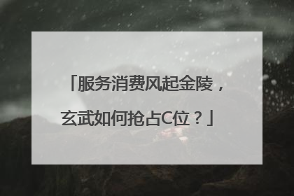服务消费风起金陵，玄武如何抢占C位？