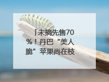 未摘先售70%！丹巴“美人脆”苹果尚在枝头就被预订｜长征路上看四川