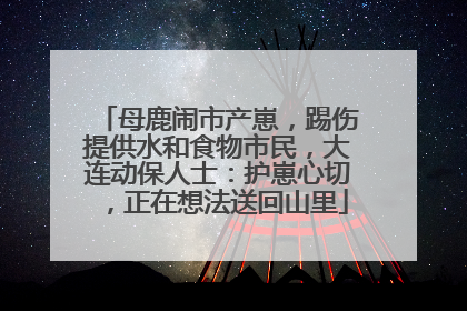 母鹿闹市产崽，踢伤提供水和食物市民，大连动保人士：护崽心切，正在想法送回山里