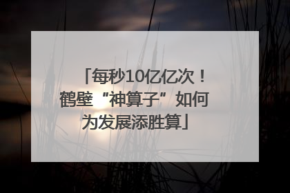 每秒10亿亿次！鹤壁“神算子”如何为发展添胜算