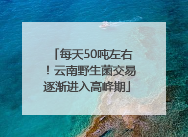 每天50吨左右！云南野生菌交易逐渐进入高峰期