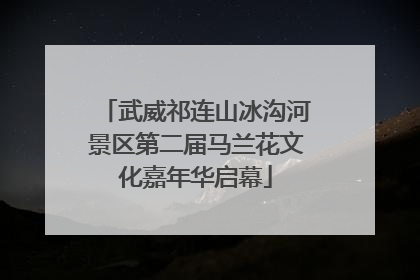 武威祁连山冰沟河景区第二届马兰花文化嘉年华启幕