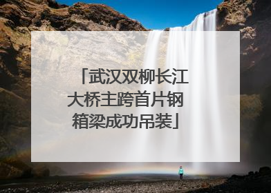 武汉双柳长江大桥主跨首片钢箱梁成功吊装