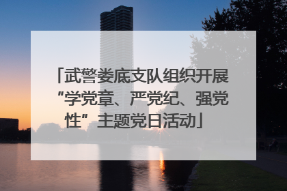 武警娄底支队组织开展“学党章、严党纪、强党性”主题党日活动