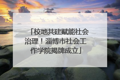 校地共建赋能社会治理！淄博市社会工作学院揭牌成立