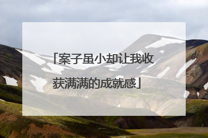 案子虽小却让我收获满满的成就感