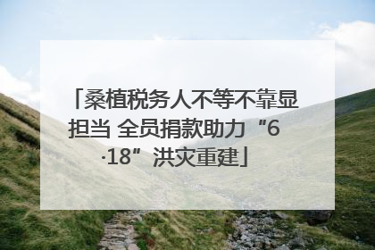 桑植税务人不等不靠显担当 全员捐款助力“6·18”洪灾重建