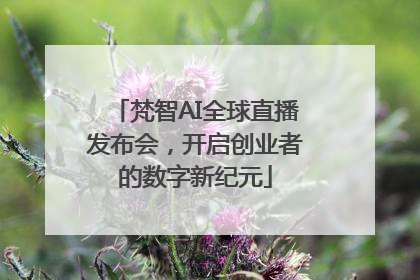 梵智AI全球直播发布会，开启创业者的数字新纪元