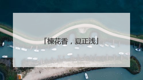 楝花香，夏正浅