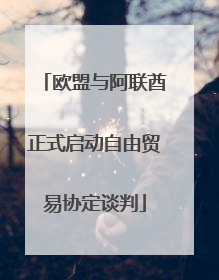 欧盟与阿联酋正式启动自由贸易协定谈判