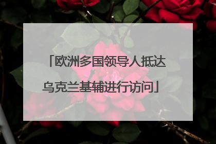 欧洲多国领导人抵达乌克兰基辅进行访问