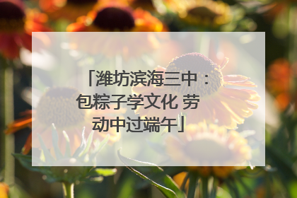 潍坊滨海三中：包粽子学文化 劳动中过端午
