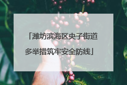 潍坊滨海区央子街道多举措筑牢安全防线