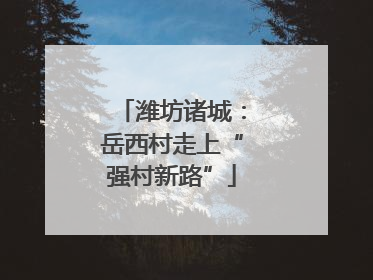 潍坊诸城：岳西村走上“强村新路”