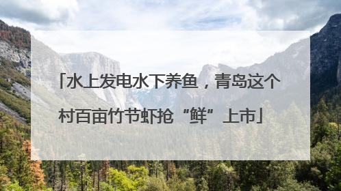 水上发电水下养鱼，青岛这个村百亩竹节虾抢“鲜”上市