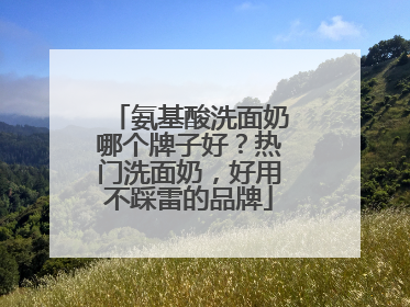 氨基酸洗面奶哪个牌子好？热门洗面奶，好用不踩雷的品牌