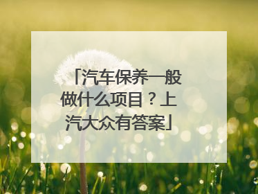 汽车保养一般做什么项目？上汽大众有答案