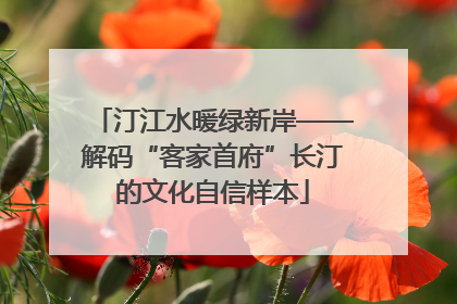 汀江水暖绿新岸——解码“客家首府”长汀的文化自信样本