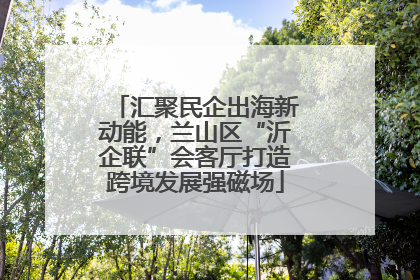 汇聚民企出海新动能，兰山区“沂企联”会客厅打造跨境发展强磁场