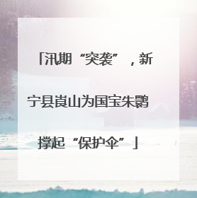 汛期“突袭”，新宁县崀山为国宝朱鹮撑起“保护伞”