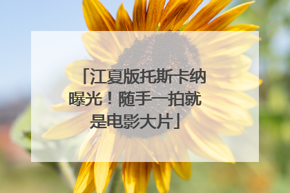江夏版托斯卡纳曝光！随手一拍就是电影大片