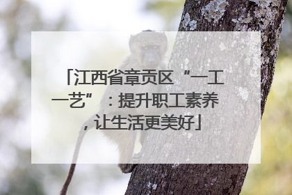 江西省章贡区“一工一艺”：提升职工素养，让生活更美好