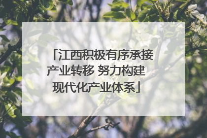 江西积极有序承接产业转移 努力构建现代化产业体系