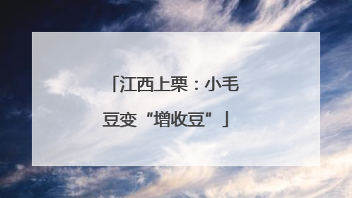 江西上栗：小毛豆变“增收豆”
