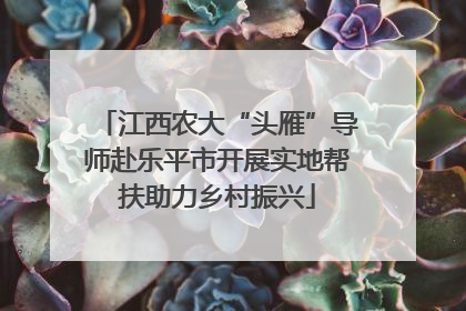 江西农大“头雁”导师赴乐平市开展实地帮扶助力乡村振兴