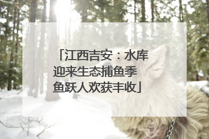 江西吉安：水库迎来生态捕鱼季 鱼跃人欢获丰收