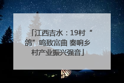 江西吉水：19村“鸽”鸣致富曲 奏响乡村产业振兴强音