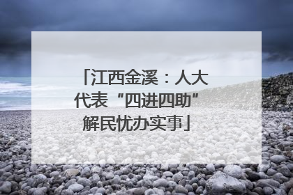 江西金溪：人大代表“四进四助”解民忧办实事
